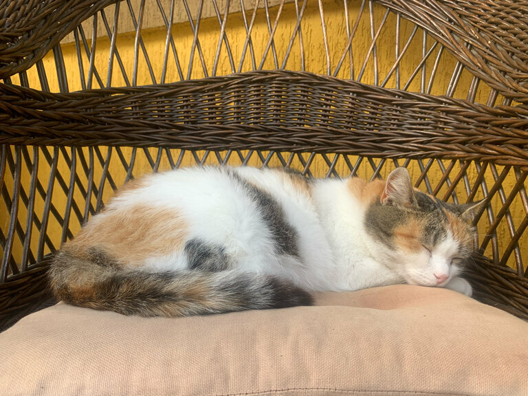 Гостиница Причал 38 Джубга-65