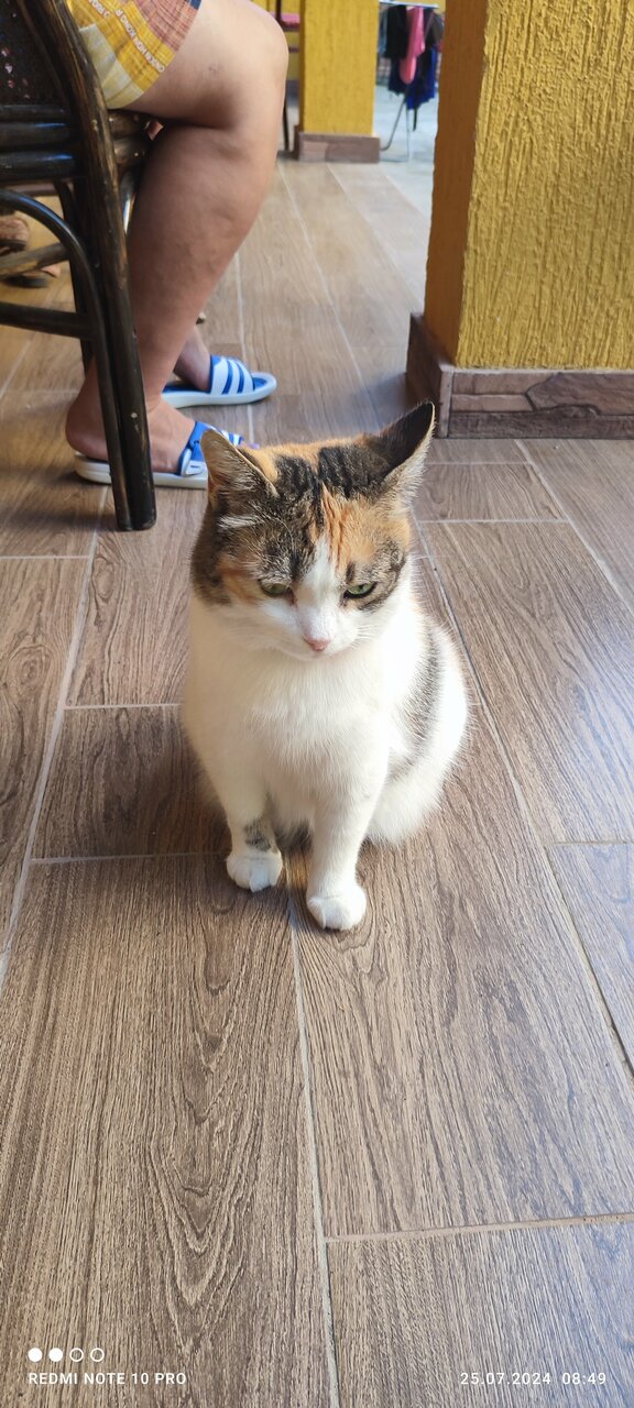 Гостиница Причал 38 Джубга-73