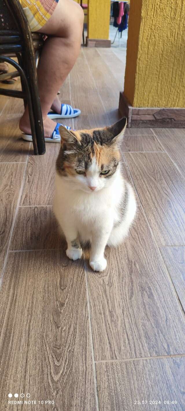 Гостиница Причал 38 Джубга-72