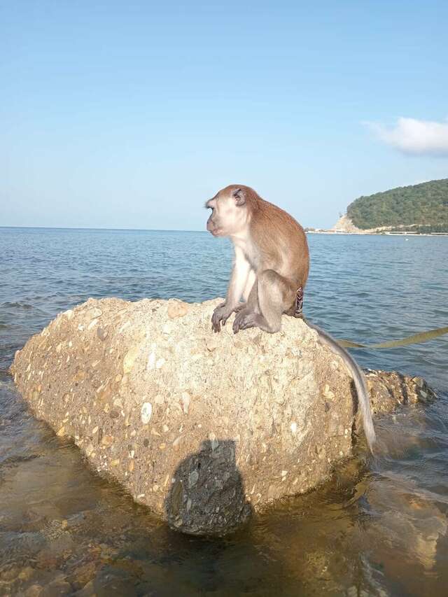 Гостиница Причал 38 Джубга-60